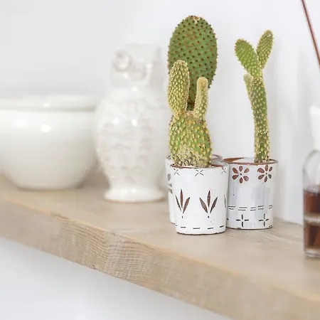 Borgo Capozzi 41 * Monopoli